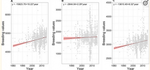 Genetic Trends Estimation in IRRIs Rice Drought Breeding Program and Identification of High Yielding Drought-Tolerant Lines. 