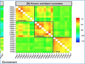 Genomic selection using random regressions on known and latent environmental covariates
