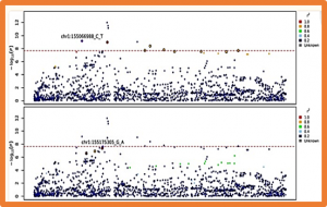 Whole-genome sequencing reveals host factors underlying critical COVID-19