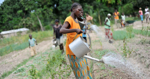 World Water Congress: Agriculture holds solutions to global water crisis and food security, FAO says