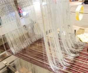 CRISPR Silkworms Produce Better Silk Fibers