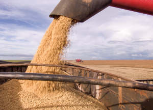 USDA FAS-GAIN Releases Agri-biotech Updates in Brazil