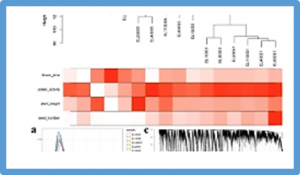 Downregulation of the expression of subgenomic chromosome A7 genes promotes plant height in resynthesized allopolyploid Brassica napus