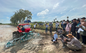 IRRI and the General Directorate of Agriculture collaborate to promote mechanized direct-seeded rice in Cambodia