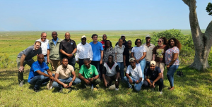 Designing a transboundary multistakeholder platform in the Incomati: Learning from other African basins 