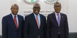 Strengthening agricultural development in Cameroon through stakeholder engagement