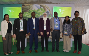 Revisiting the 2006 Abuja Fertilizer Declaration with Nitrogen use efficiency and yield-gap lenses
