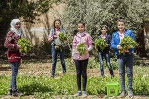 Towards healthy diets for all