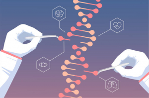 PAM-less plant genome editing using a CRISPR&ndash;SpRY toolbox
