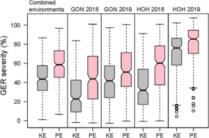 Exploiting genetic diversity in two European maize landraces for improving Gibberella ear rot resistance using genomic tools