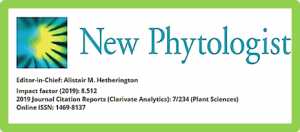 Photo-Sensitive Leaf Rolling 1 encodes a polygalacturonase that modifies cell wall structure and drought tolerance in rice