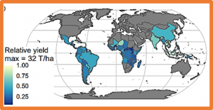 Current status and impending progress for cassava structural genomics