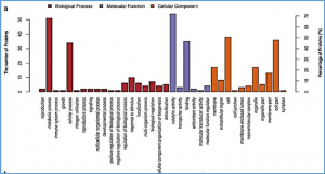 Identification of Phosphorus Stress Related Proteins in the Seedlings of Dongxiang Wild Rice ( Oryza rufipogon Griff.) Using Label-Free Quantitative Proteomic Analysis
