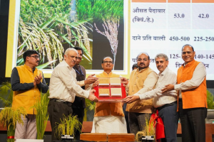 India Releases Two Genome-Edited Rice Varieties