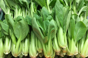 Fine mapping and cloning of a novel BrSCC1 gene for seed coat color in Brassica rapa L.