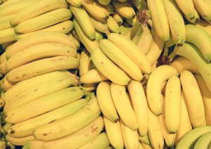 OGTR Invites Comments on Proposed Commercial Release of GM Banana