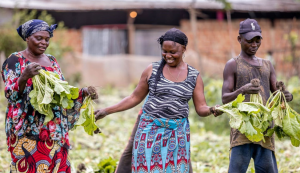 Investing in a better future: West and Central Africa