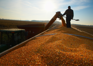 COP28`s Day for Food, Agriculture, and Water Gathers Major Commitments on Food Systems