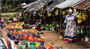 Healthy diets remain unaffordable for a third of the world`s population