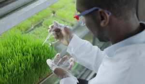 Agricultural Biotech Market Estimated to Reach US$293.35 Billion by 2034