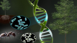 "Booster" Gene Game-Changer for Plant-Based Jet Fuel and Food Production