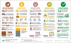 Top 5 Biotech Crops Occupy 99% of Global Biotech Crop Area
