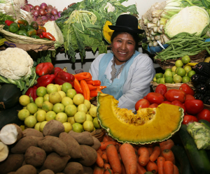 Unsustainable food systems: can we reverse current trends?