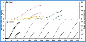 Wheat yield potential in controlled-environment vertical farms