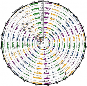 10 New Genes Identified for Resistance to Stripe Rust Disease