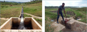 Sharing water in Rwanda`s breadbasket