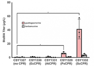 Complete biosynthesis of the bisbenzylisoquinoline alkaloids guattegaumerine and berbamunine in yeast