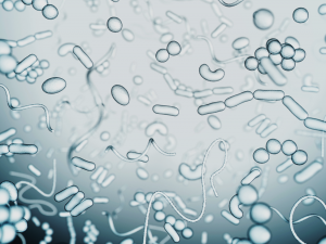 Study Shows US Public Attitudes on Genetically Engineered Microbiomes