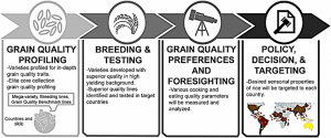Post-genomics revolution in the design of premium quality rice in a high-yielding background to meet consumer demands in the 21st century.