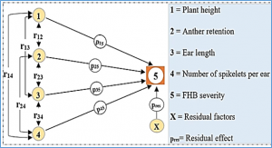 Separation of the effects of two reduced height (Rht) genes and genomic background to select for less Fusarium head blight of short-strawed winter wheat (Triticum aestivum L.) varieties
