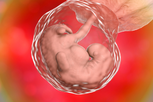 Scientists Take a Step Closer to Growing Human Organs for Transplants