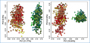 Simulation based establishment of base pools for a hybrid breeding program in winter rapeseed 