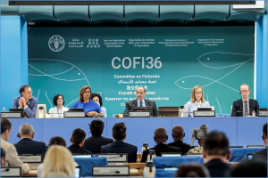 Global meeting focuses on fisheries and aquaculture`s vital role in tackling food insecurity, malnutrition and poverty