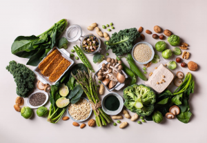 Researchers Review the Impact of Animal Proteins in Plants