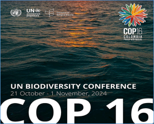 NBSAP Accelerator Partnership paves the way for action