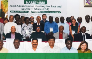 NARES and IRRI advance market-driven varieties and accelerate adoption of new rice varieties in Africa