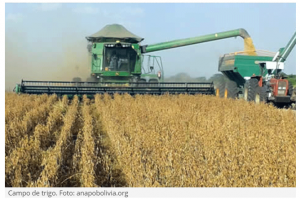 Bolivia to Speed Up Evaluation of GM Crops