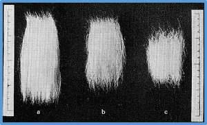 A high-density genetic map and multiple environmental tests reveal novel quantitative trait loci and candidate genes for fibre quality and yield in cotton