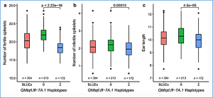 Identification of eight QTL controlling multiple yield components in a German multi-parental wheat population, including Rht24, WAPO-A1, WAPO-B1 and genetic loci on chromosomes 5A and 6A