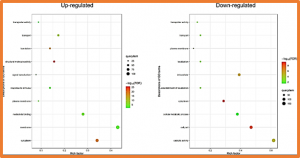 Comparative Proteomic Analysis of Plasma Membrane Proteins in Rice Leaves Reveals a Vesicle Trafficking Network in Plant Immunity That Is Provoked by Blast Fungi.