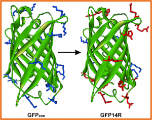 Genome editing by introduction of Cas9/sgRNA into plant cells using temperature-controlled atmospheric pressure plasma