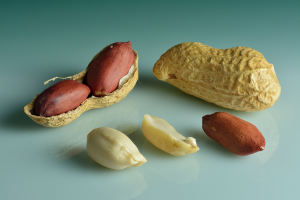 Deciphering evolutionary dynamics of WRKY genes in Arachis species