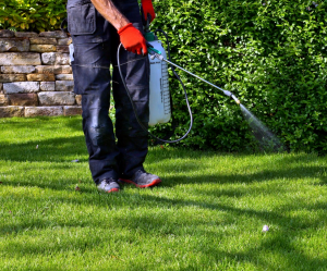 Canada Approves RNAi Biopesticide Technology Field Study