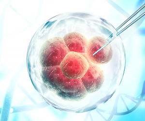 Researchers Develop In Vivo Gene Editing Model to Treat Blood Disorders