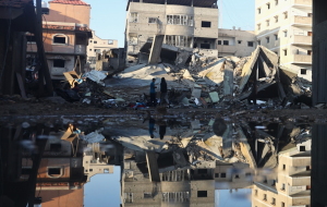 FAO expresses deep alarm over acute hunger in the Gaza Strip