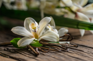 Bioengineered Enzyme Creates Natural Vanillin from Plants